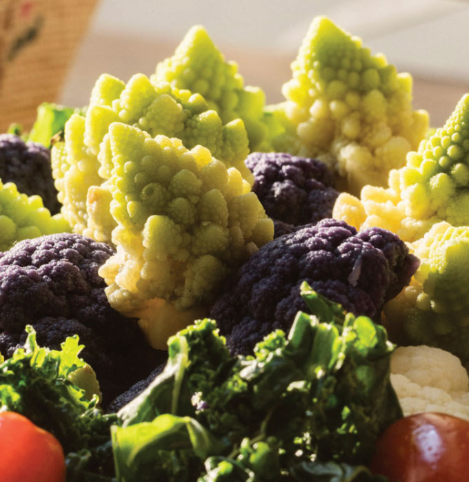 Setup Meals Casa Fortunato